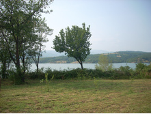 ���� 561.jpg