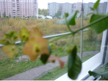 P1120335.JPG
