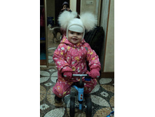 ������� Lassie �.80