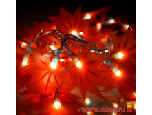 �������� PH719013703 �������� ������ 50LED ������� 5� 6 ������� IP44 ������ 10 ��� ������� 15W Gauss   476,54.jpg