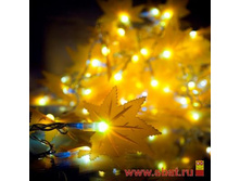 �������� PH719013803 �������� ������ 50LED ������ 5� 6 ������� IP44 ������ 10 ��� ������� 15W Gauss    476,54.jpg