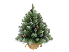 ��� ������������ ����������� � ������� 90 �� ������� 1974,49.jpg