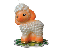 ����� ������� ����� 60,04.jpg