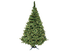 ��� ������������� ������� 1,2 � ������� 629,66.jpg