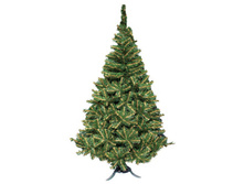 ��� ������������� ������� 1,8 � ������� 1837,80.jpg