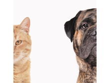 ������� ������� ���. 8902