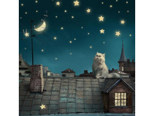 ��� �� ����� ���. 2312