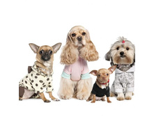 ��������� ������� ���. 7655