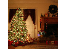 �������������� ������ ���. 2030