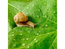 ������ ���. 7780