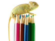 �������� �� ���������� ���. 7582