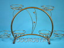 � ������ ����� ������ �� 6 ��.