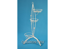 ������ ����� �� 3 ��.