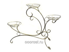 �����-3 �����