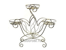 ������-3