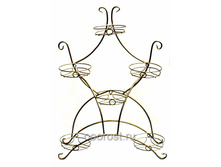 ��������-6