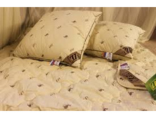 ������ ������.jpg