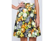 ���� ������ ������