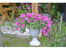 ����������� 017.jpg