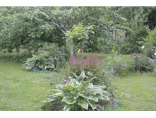 ����������� 020.jpg