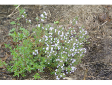 ����������� 028.jpg