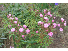 ����������� 031.jpg