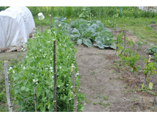 ����������� 033.jpg