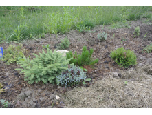 ����������� 040.jpg