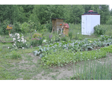 ����������� 041.jpg