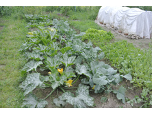 ����������� 045.jpg