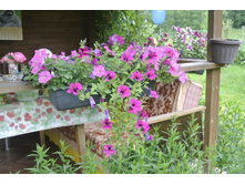 ����������� 046.jpg