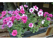 ����������� 048.jpg