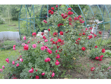 ����������� 049.jpg