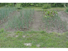 ����������� 055.jpg