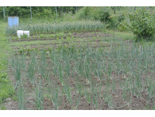 ����������� 056.jpg