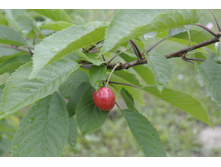 ����������� 057.jpg