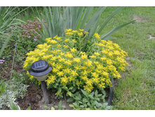 ����������� 059.jpg