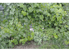 ����������� 058.jpg