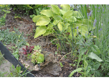 ����������� 063.jpg