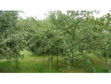 ����������� 071.jpg