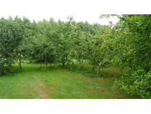 ����������� 069.jpg