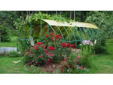 ����������� 072.jpg