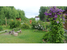 ����������� 083.jpg