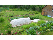 ����������� 091.jpg