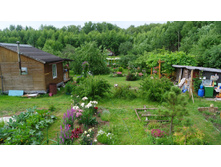 ����������� 090.jpg