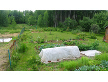 ����������� 092.jpg