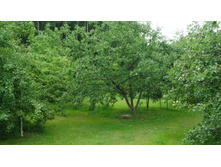 ����������� 098.jpg