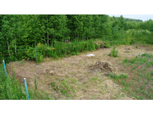 ����������� 095.jpg