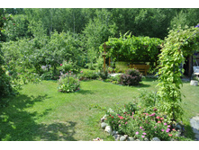 ����������� 335.jpg