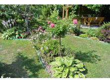 ����������� 348.jpg